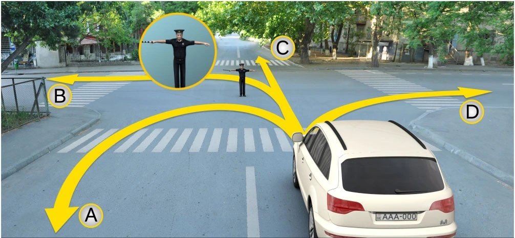 ბილეთი #213