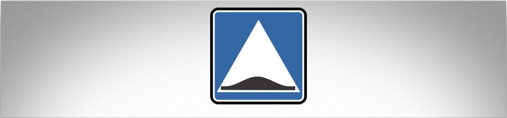 ბილეთი #790